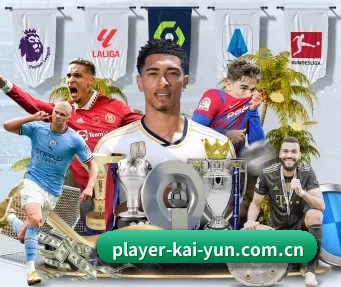 player-kai-yun.com.cn APP